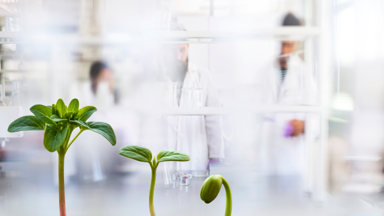 Veolian syvällinen vesiteknologiaosaaminen auttaa laboratorioita